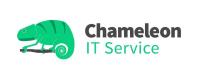 Chameleon IT Service image 2